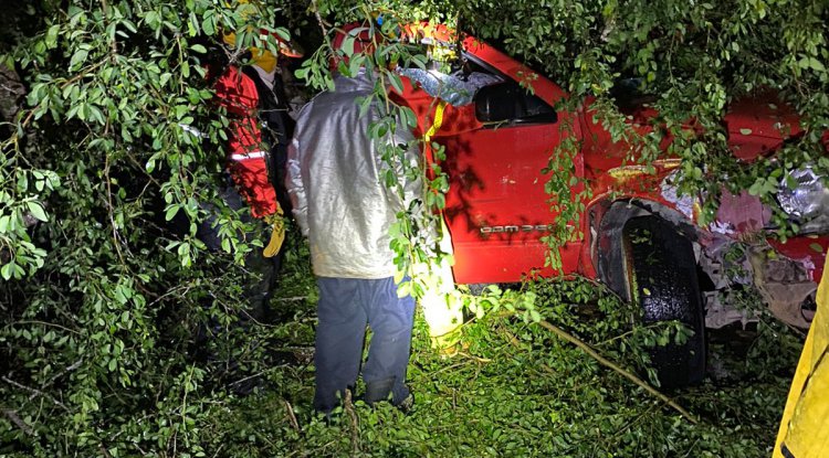 SIN VIDA AL CAERLE UN ÁRBOL EN LA CARRETERA Reseña Urbana Medios