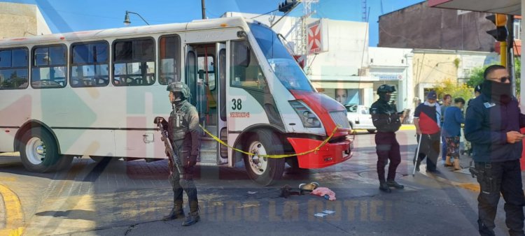 ARROLLADO UN ADULTO MAYOR EN PLENO CENTRO DE TEPIC