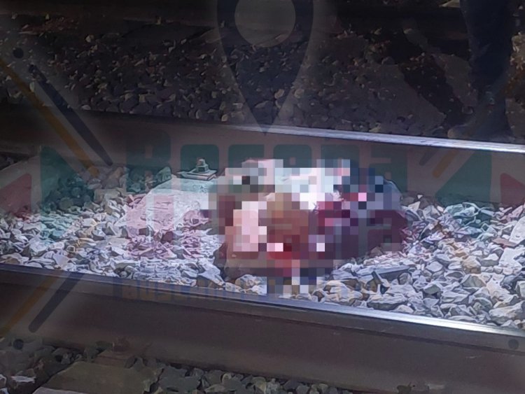 OCTAGENARIO MUTILADO POR EL TREN EN TEPIC