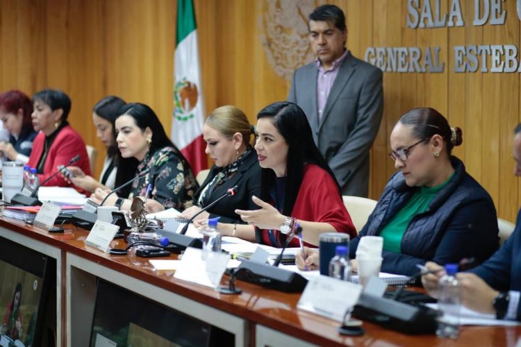 Un Congreso abierto encuentra la democracia y representatividad: diputada Alba Cristal