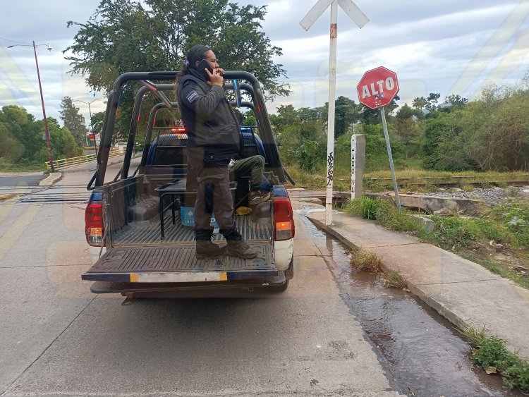 DETIENE LA POLICIA MUNICIPAL A RATA EN VILLAS DEL PARQUE