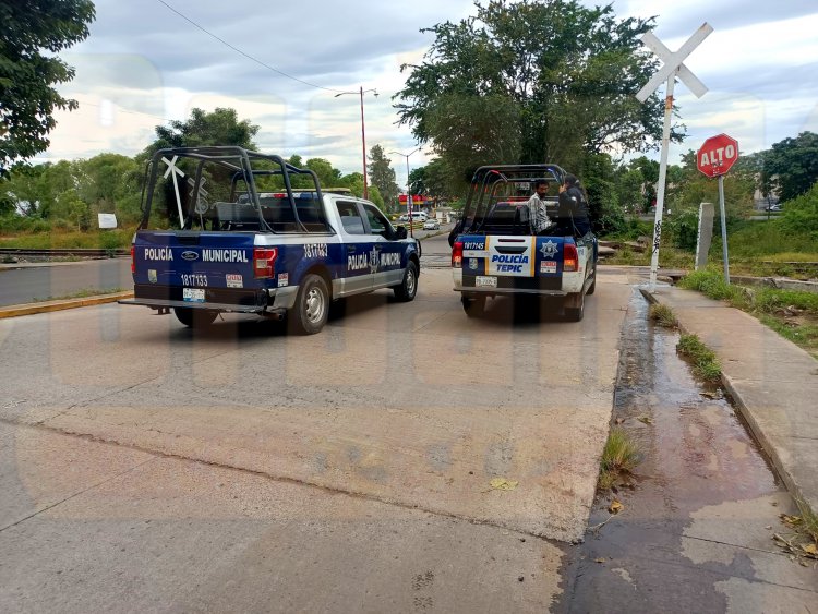 DETIENE LA POLICIA MUNICIPAL A RATA EN VILLAS DEL PARQUE