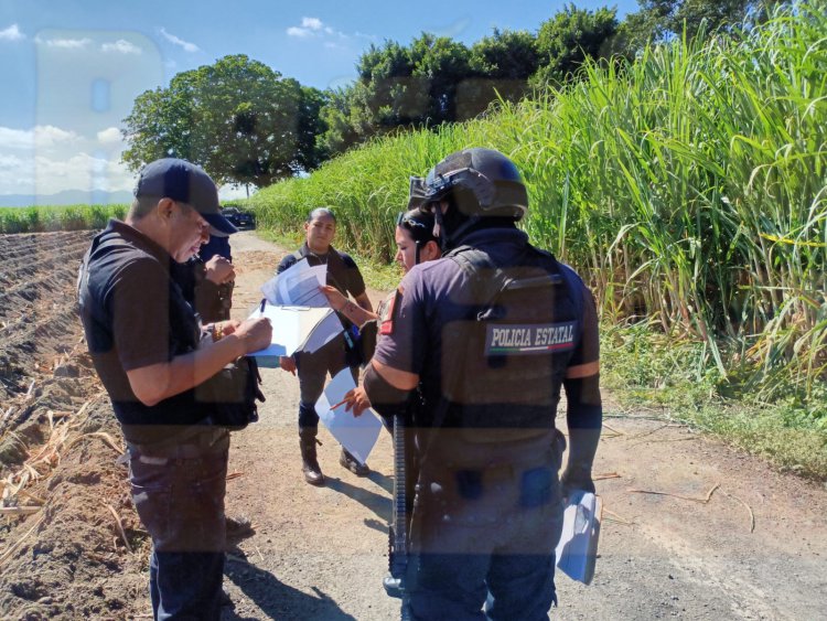 LOCALIZAN UN CUERPO EN CAÑAVERAL DE XALISCO