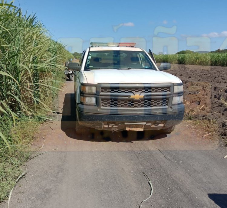 LOCALIZAN UN CUERPO EN CAÑAVERAL DE XALISCO