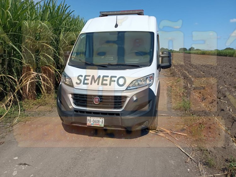 LOCALIZAN UN CUERPO EN CAÑAVERAL DE XALISCO