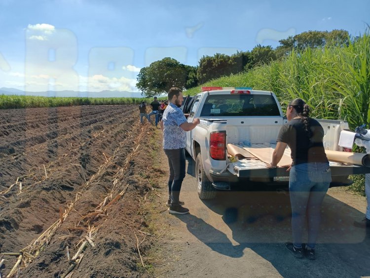 LOCALIZAN UN CUERPO EN CAÑAVERAL DE XALISCO