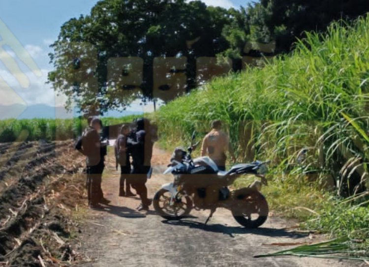 LOCALIZAN UN CUERPO EN CAÑAVERAL DE XALISCO