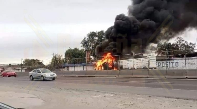 ARDE GUANAJUATO