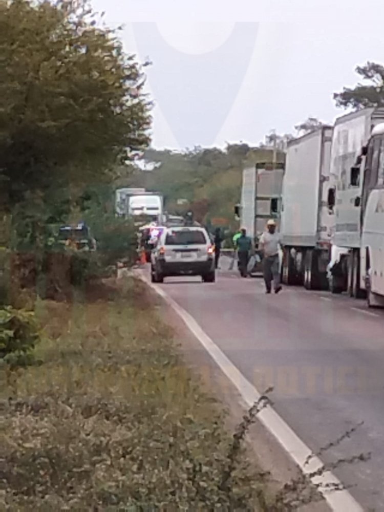 BRUTALMENTE ATROPELLADO EN LA FEDERAL 15