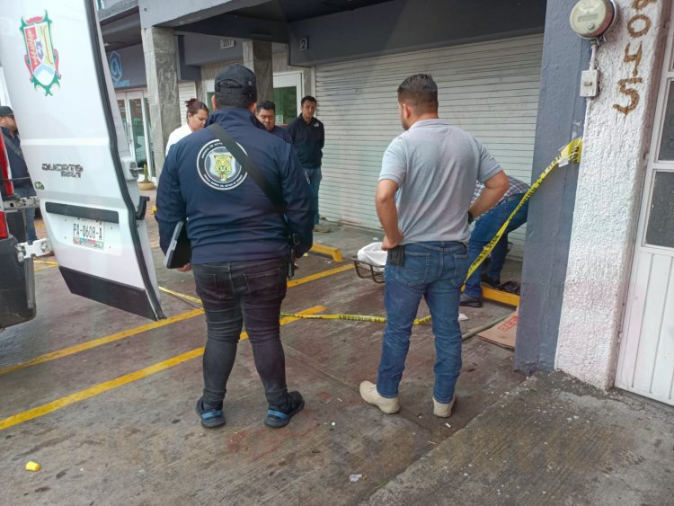 SIN VIDA MASCULINO EN LA COL LLANITOS