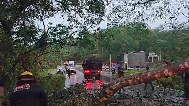 SALVA SU VIDA EN LA CARRETERA FEDERAL 200