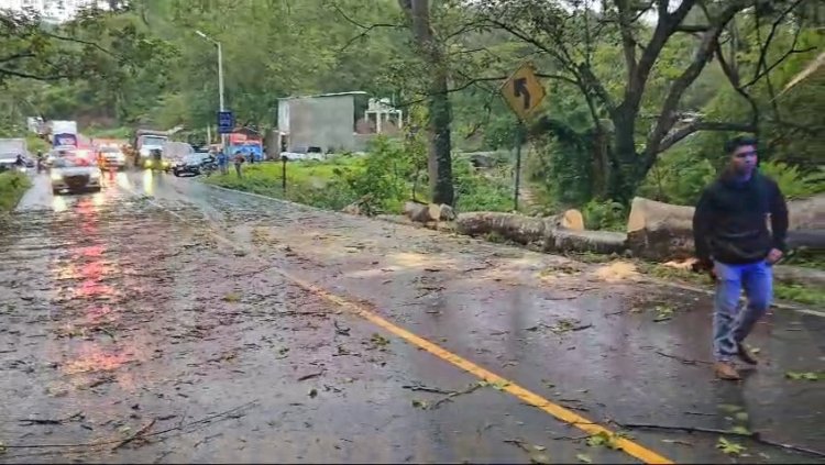 SALVA SU VIDA EN LA CARRETERA FEDERAL 200