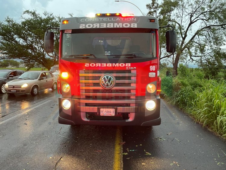 LESIONADO EN EL LIBRAMIENTO AL CAER ÁRBOL