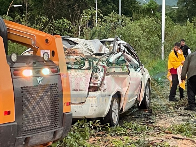 LESIONADO EN EL LIBRAMIENTO AL CAER ÁRBOL